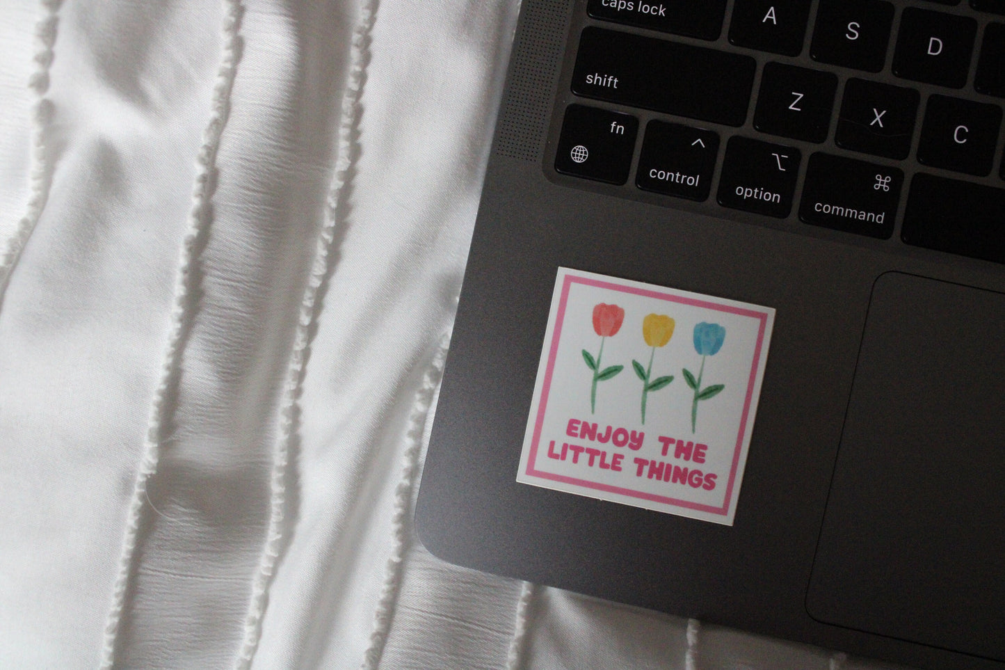 Enjoy the Little Things Sticker